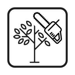 tree pruning byron bay lismore