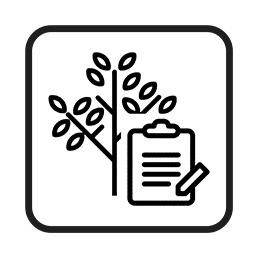 tree reports byron bay lismore