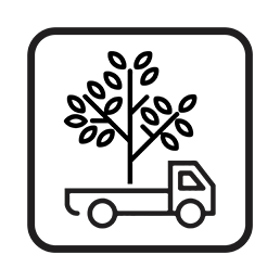 tree removal byron bay lismore